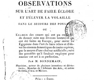 Art_elever_poules_bila_previsionnel
